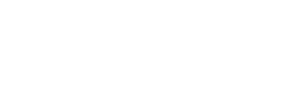 Warriors Code Inc